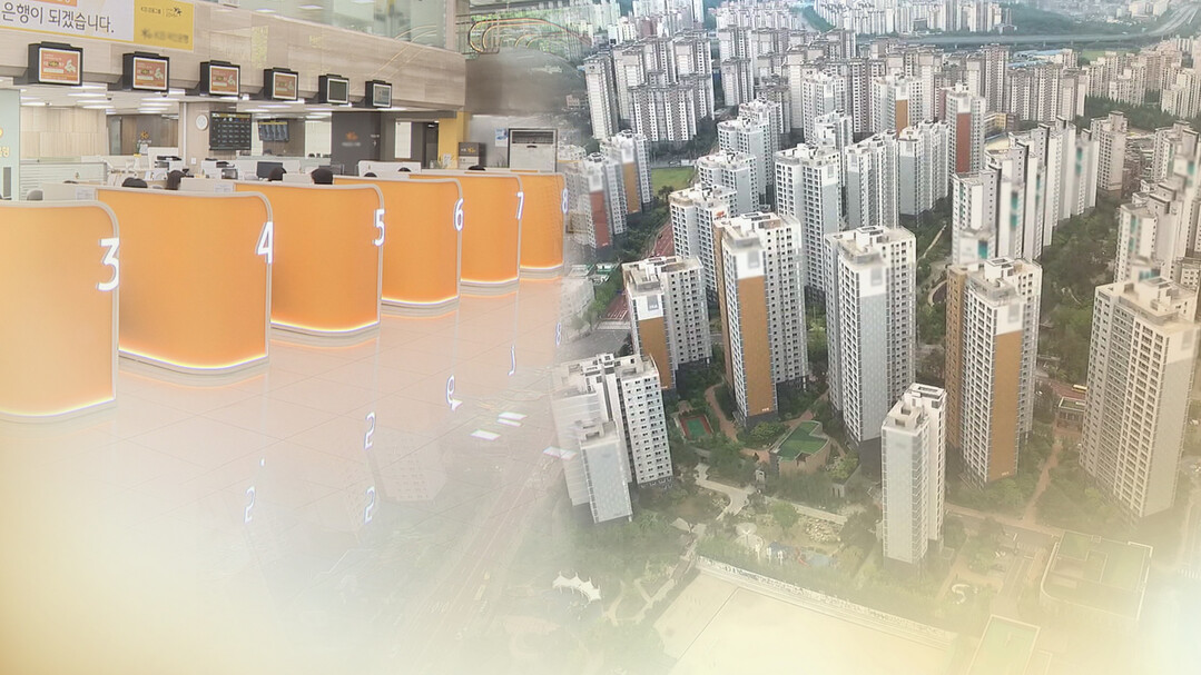 정책대출 축소에 생애최초 디딤돌대출 ...